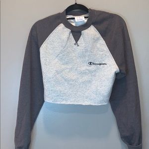 Champion Cropped Hoodie